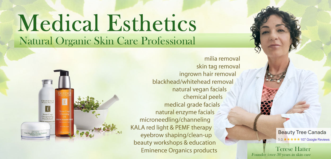 Organic Natural Facials in Toronto Ontario